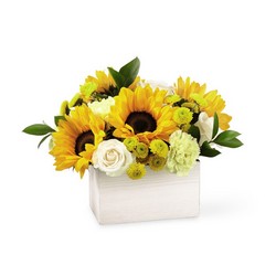 The FTD Sweet as Lemonade Bouquet from Monrovia Floral in Monrovia, CA